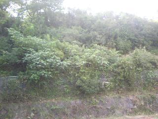 f0150767_14383311.jpg