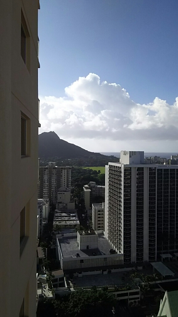 d0085768_16385046.jpg