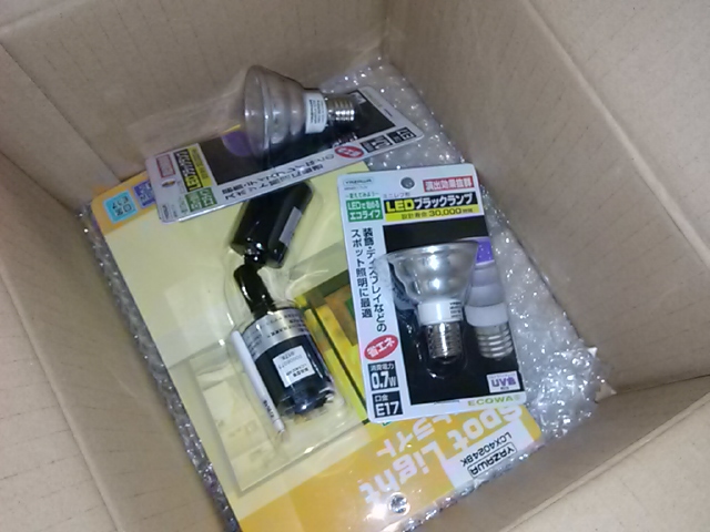 ブラックライトが届いたよ！_e0296069_2033184.jpg