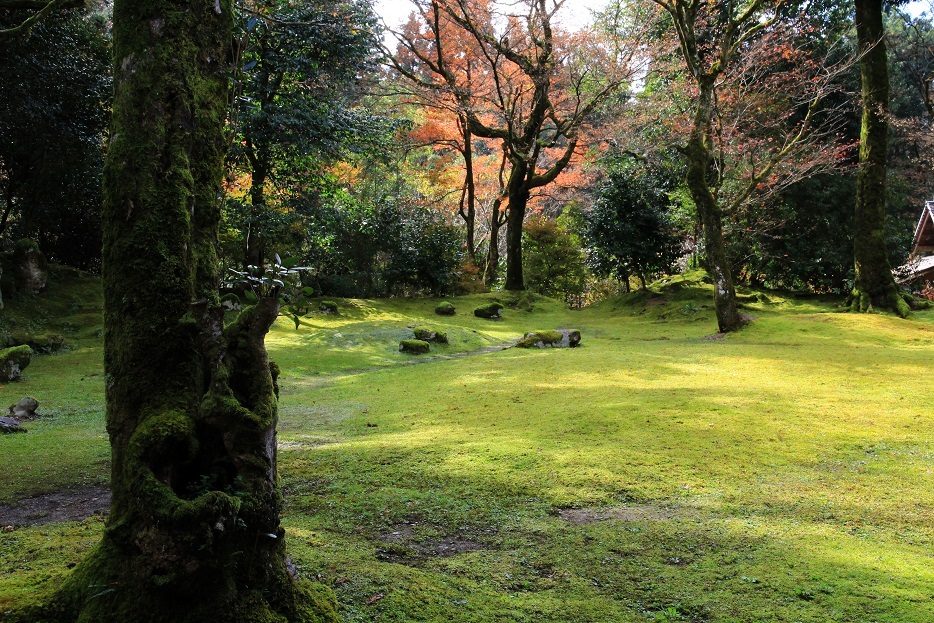 再会 ~長浜・近江弧蓬庵~_a0107574_19201462.jpg
