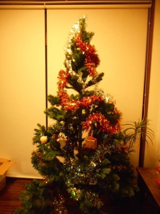 クリスマスシーズンに向けて_f0220087_354354.jpg