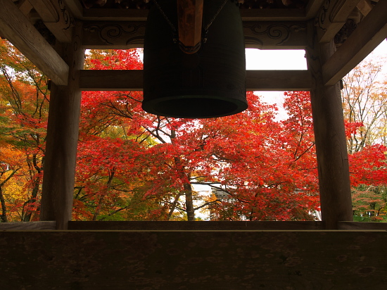 紅葉めぐり2015～東光寺～_d0026589_23481588.jpg