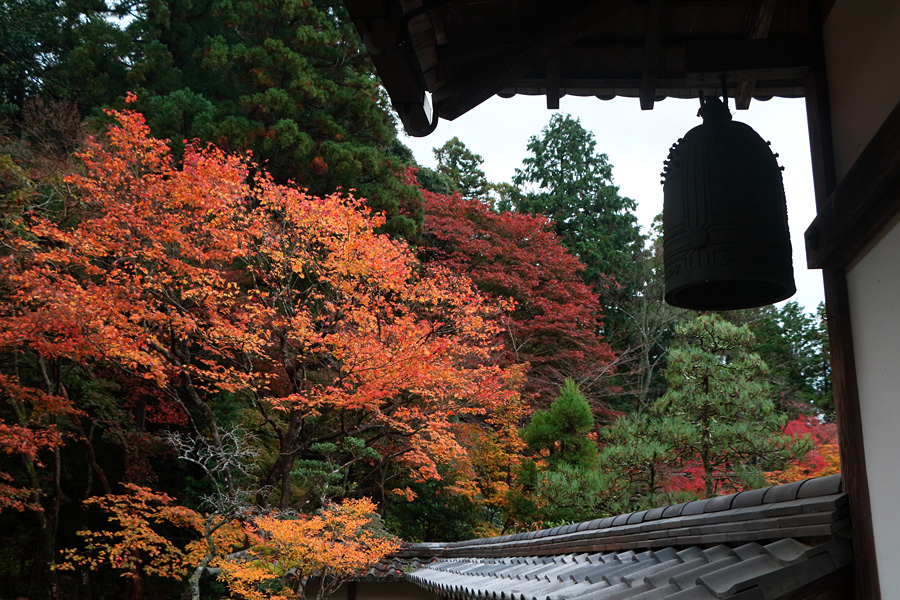 15.11.15：湖東三山・金剛輪寺で紅葉狩り１_c0007190_1939538.jpg