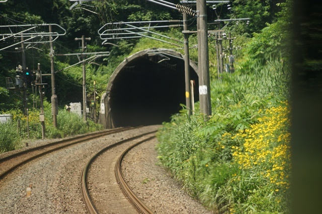 d0181492_21432407.jpg