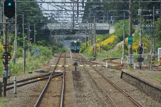 d0181492_21440928.jpg