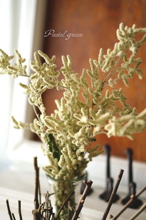 アエルバの花穂 季の花小屋 Pastelgreen アエルバの花穂 季の花小屋 Pastelgreen