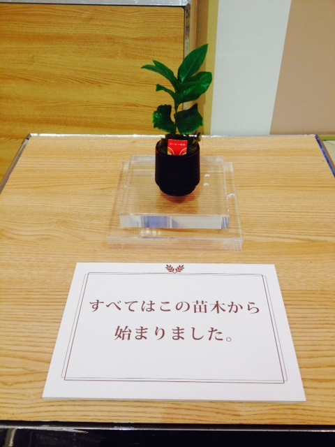 f0204295_1010378.jpg