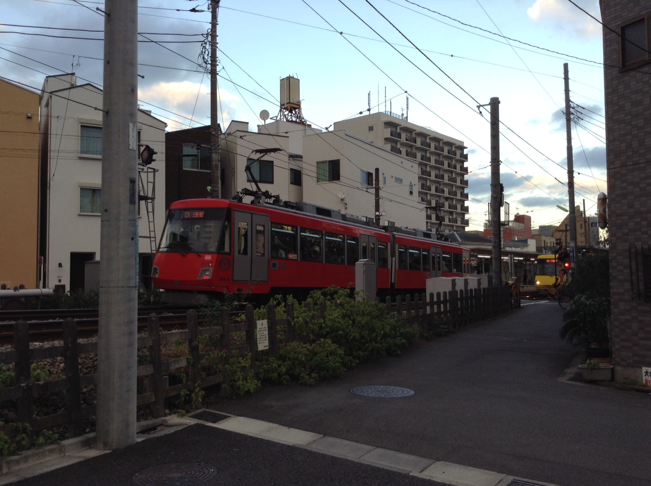 【お預かり猫】保護してお預かり予定のコミちゃん_a0170297_10583016.jpg