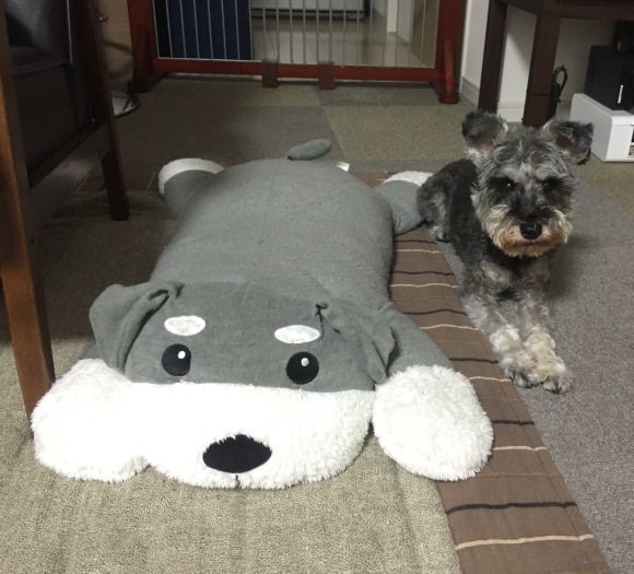 b0188998_21423339.jpeg