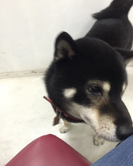 b0188998_21440141.jpeg
