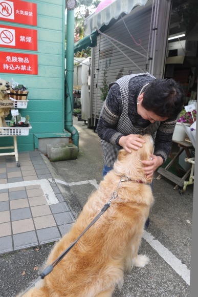 b0275998_15162074.jpeg