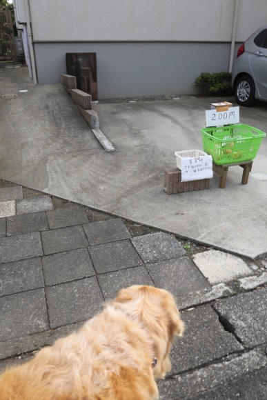 b0275998_15182235.jpeg