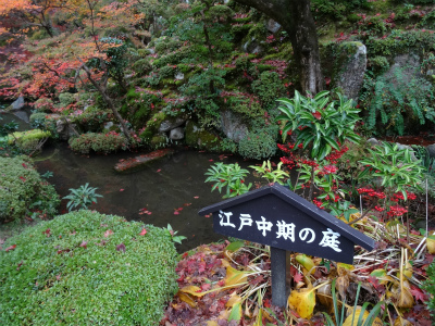 金剛輪寺の紅葉_c0125501_2302022.jpg