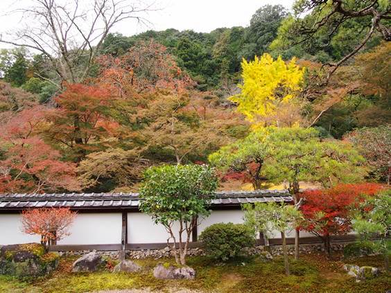 奈良の旅3日目　正暦寺(2015.11.20)_e0245404_16192317.jpg