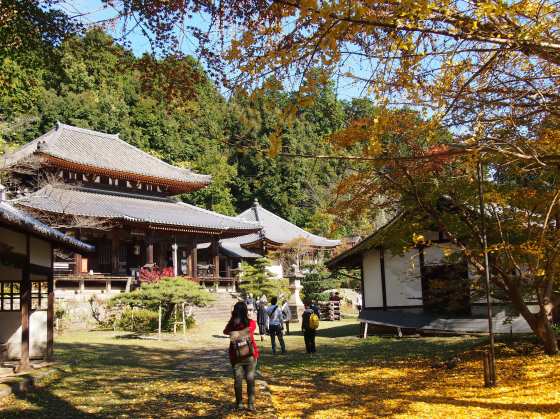 奈良の旅3日目　弘仁寺(2015.11.20)_e0245404_23503793.jpg