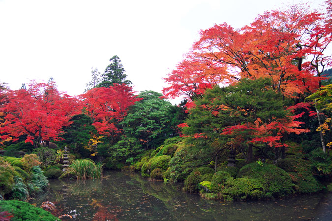 日光山輪王寺　逍遥園の紅葉1_a0263109_22371328.jpg