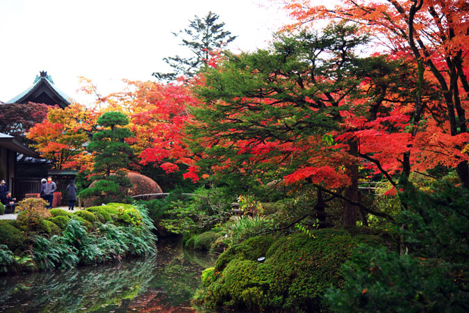 日光山輪王寺　逍遥園の紅葉1_a0263109_22371554.jpg