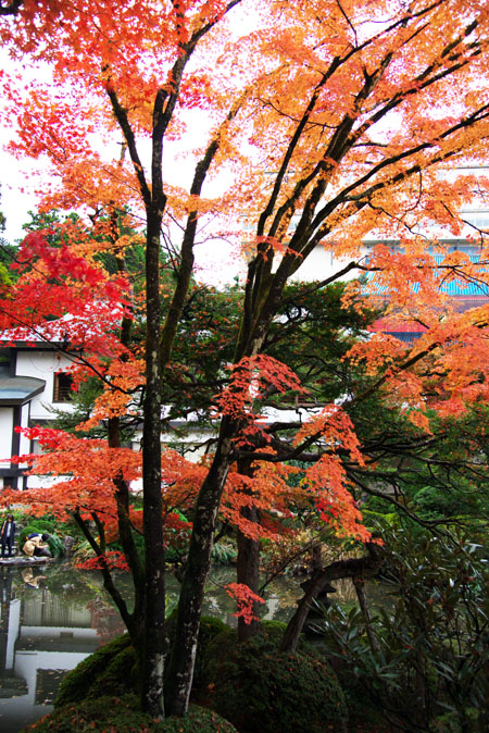 日光山輪王寺　逍遥園の紅葉1_a0263109_22372299.jpg