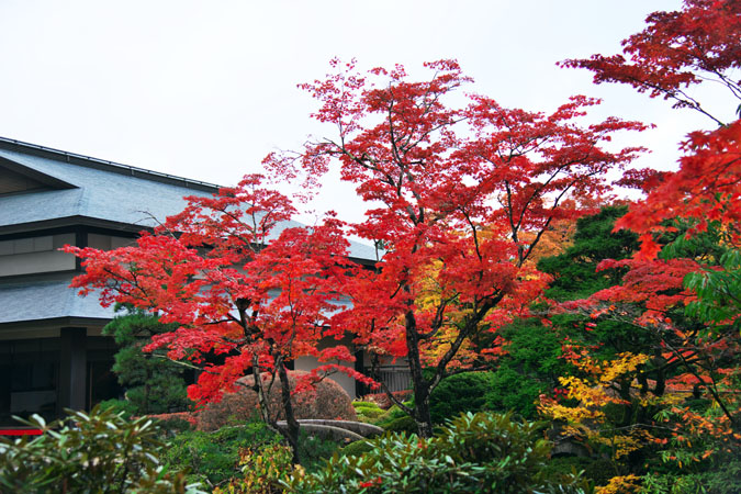 日光山輪王寺　逍遥園の紅葉1_a0263109_2237243.jpg