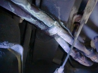 c0118011_1128681.jpg