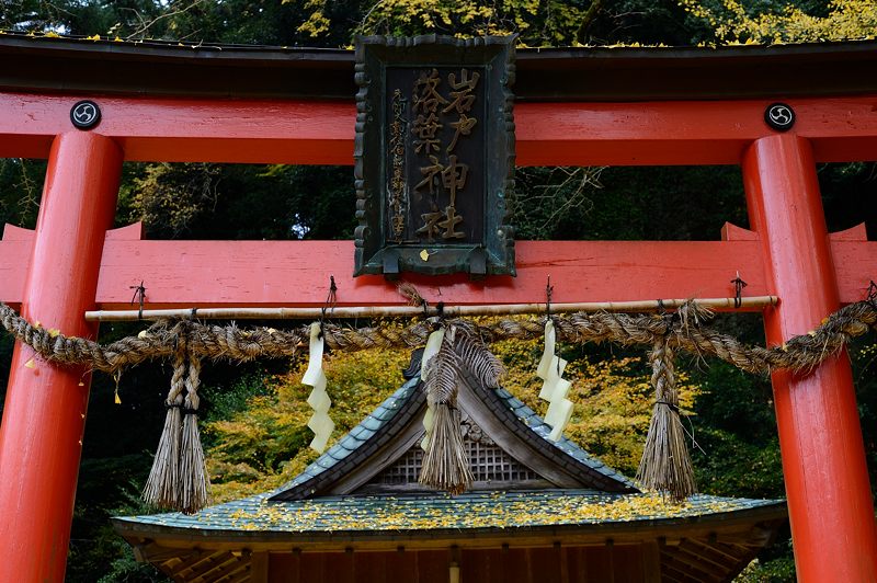 2015京都の紅葉・小野郷　岩戸落葉神社_f0032011_18502487.jpg