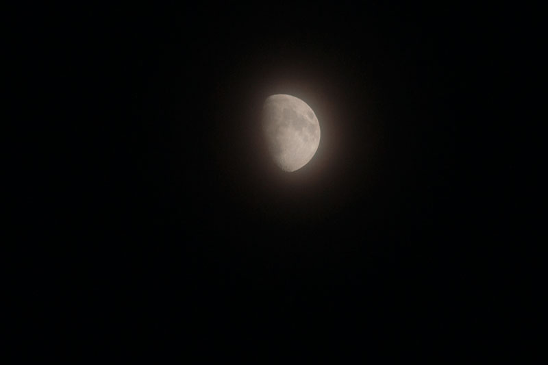 a0278914_20493410.jpg