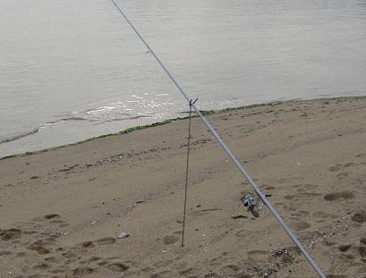 e0117319_22375035.png