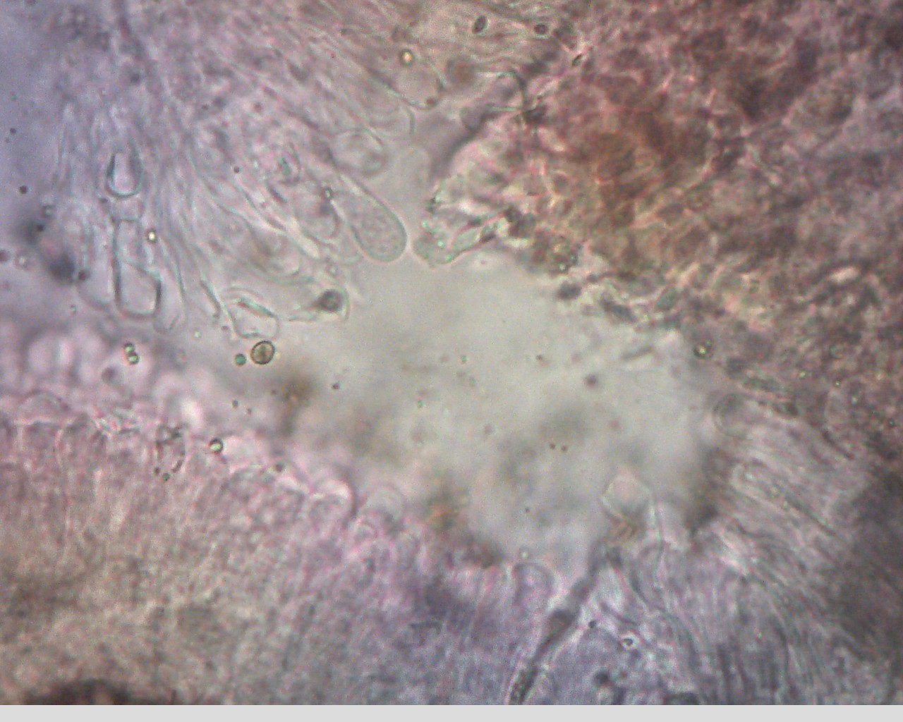 e0352220_00055876.jpg