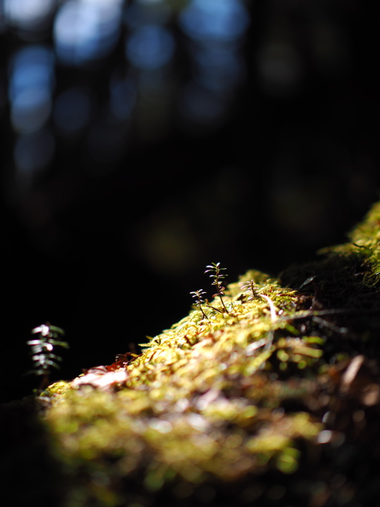 b0244424_801647.jpg