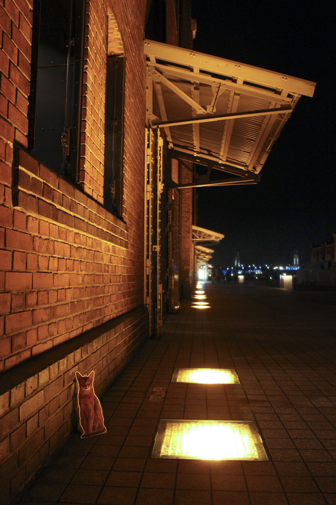 e0090124_00496.jpg