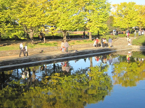 ♪コスモス＆紅葉★昭和記念公園_d0162225_19363570.jpg