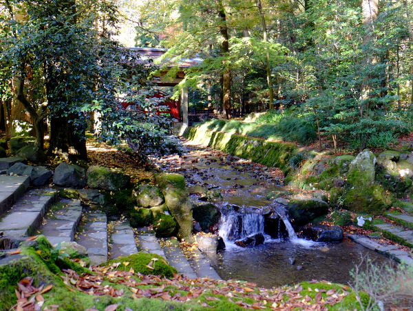 「新潟・弥彦村　弥彦神社参拝」　_a0000029_10423273.jpg