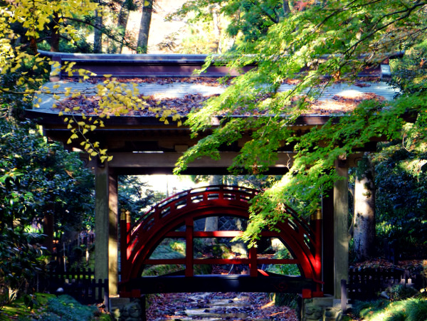 「新潟・弥彦村　弥彦神社参拝」　_a0000029_10431414.jpg