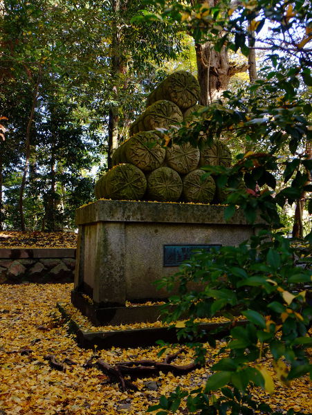 「新潟・弥彦村　弥彦神社参拝」　_a0000029_2034246.jpg