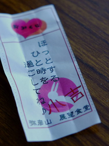 「新潟・弥彦村 弥彦ロープウェーとおやひこさまセット」_a0000029_22435576.jpg