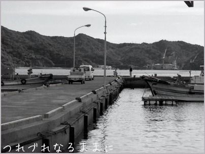 d0017632_07311916.jpeg