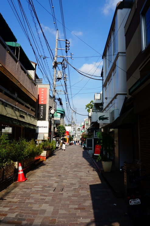 a0287336_2281852.jpg