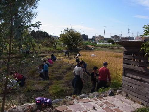 f0346737_21590192.jpg