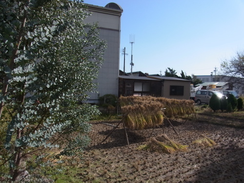 f0346737_22073049.jpg
