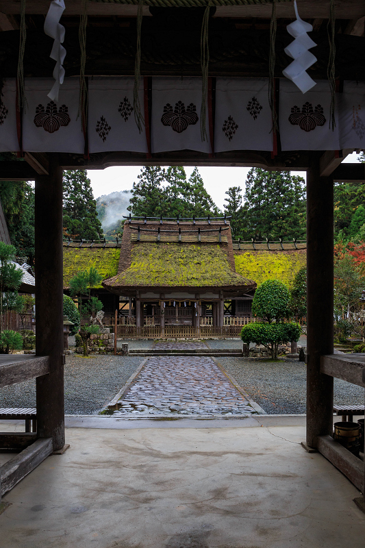 京都の紅葉2015・摩氣神社の赤と黄色_f0155048_0212517.jpg