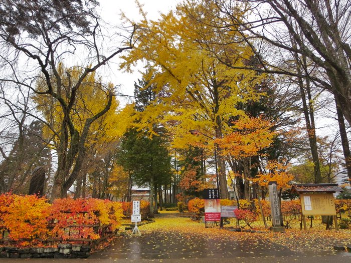 【大人の休日倶楽部パス旅】⑮武家屋敷通りの紅葉散歩つづき【角館】_b0009849_15544985.jpg