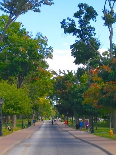 a0123450_13231764.jpg