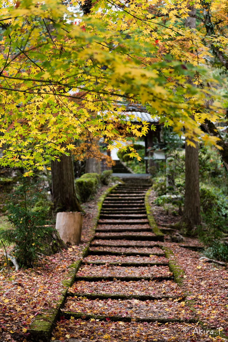 京都・園部の紅葉 2015 〜龍穏寺〜 2_f0152550_19193462.jpg