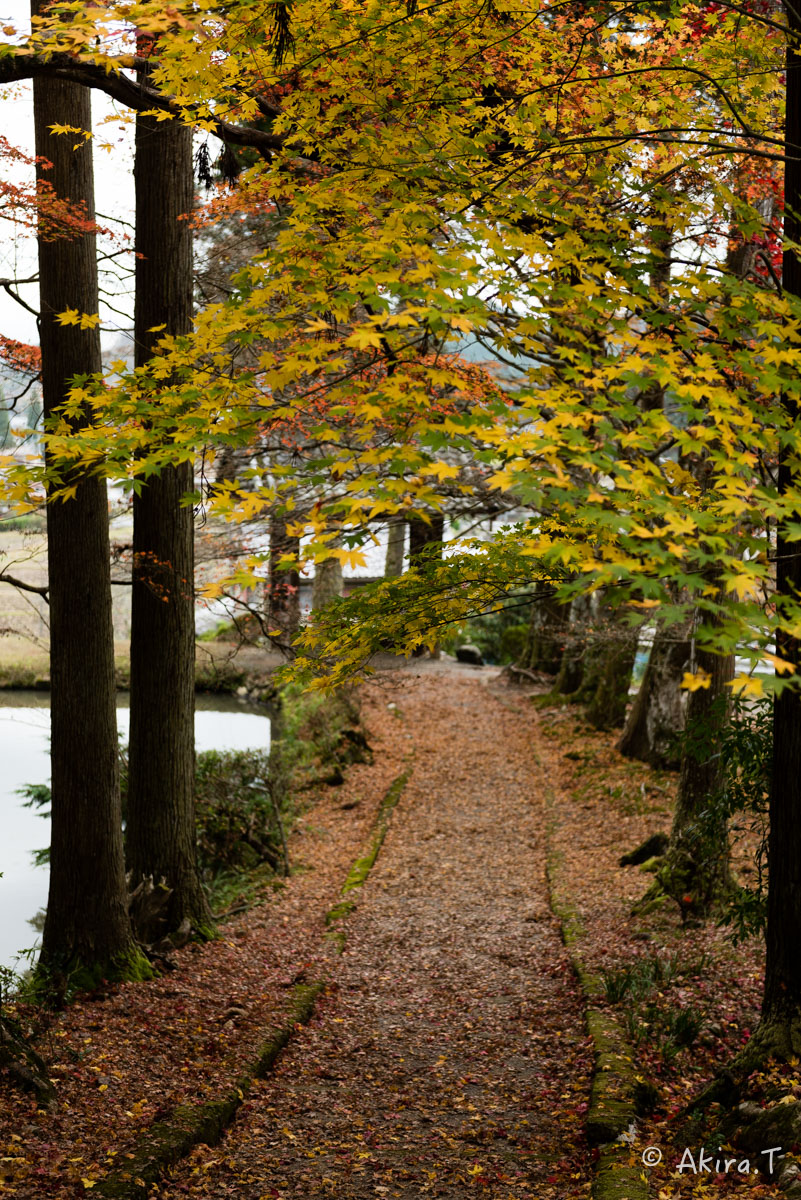 京都・園部の紅葉 2015 〜龍穏寺〜 2_f0152550_1920467.jpg