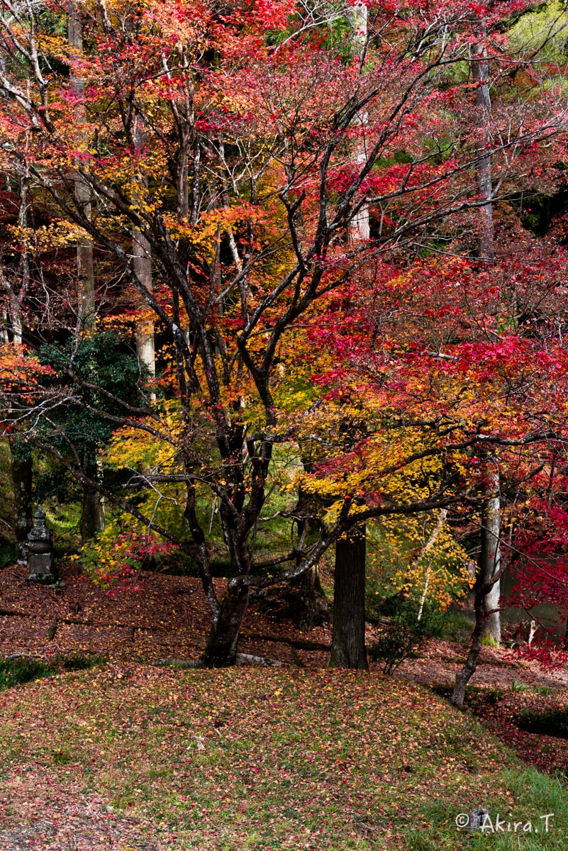 京都・園部の紅葉 2015 〜龍穏寺〜 2_f0152550_1920496.jpg