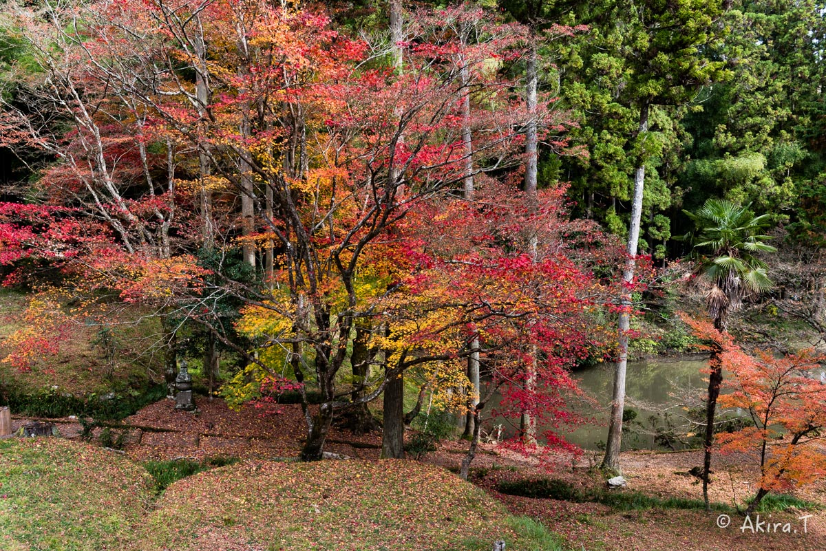 京都・園部の紅葉 2015 〜龍穏寺〜 2_f0152550_1921155.jpg