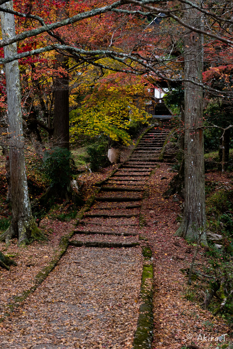 京都・園部の紅葉 2015 〜龍穏寺〜 2_f0152550_19215263.jpg