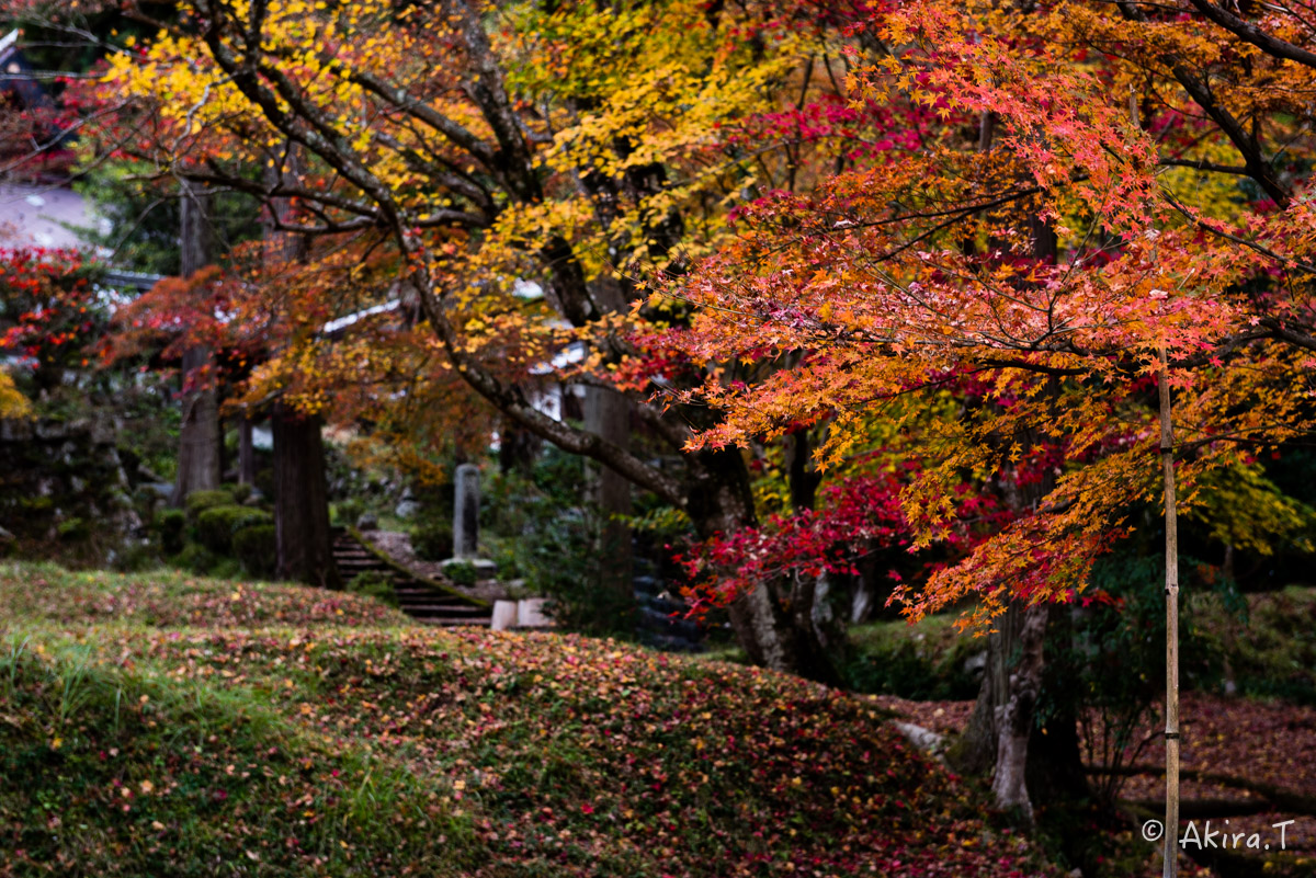 京都・園部の紅葉 2015 〜龍穏寺〜 2_f0152550_19221761.jpg