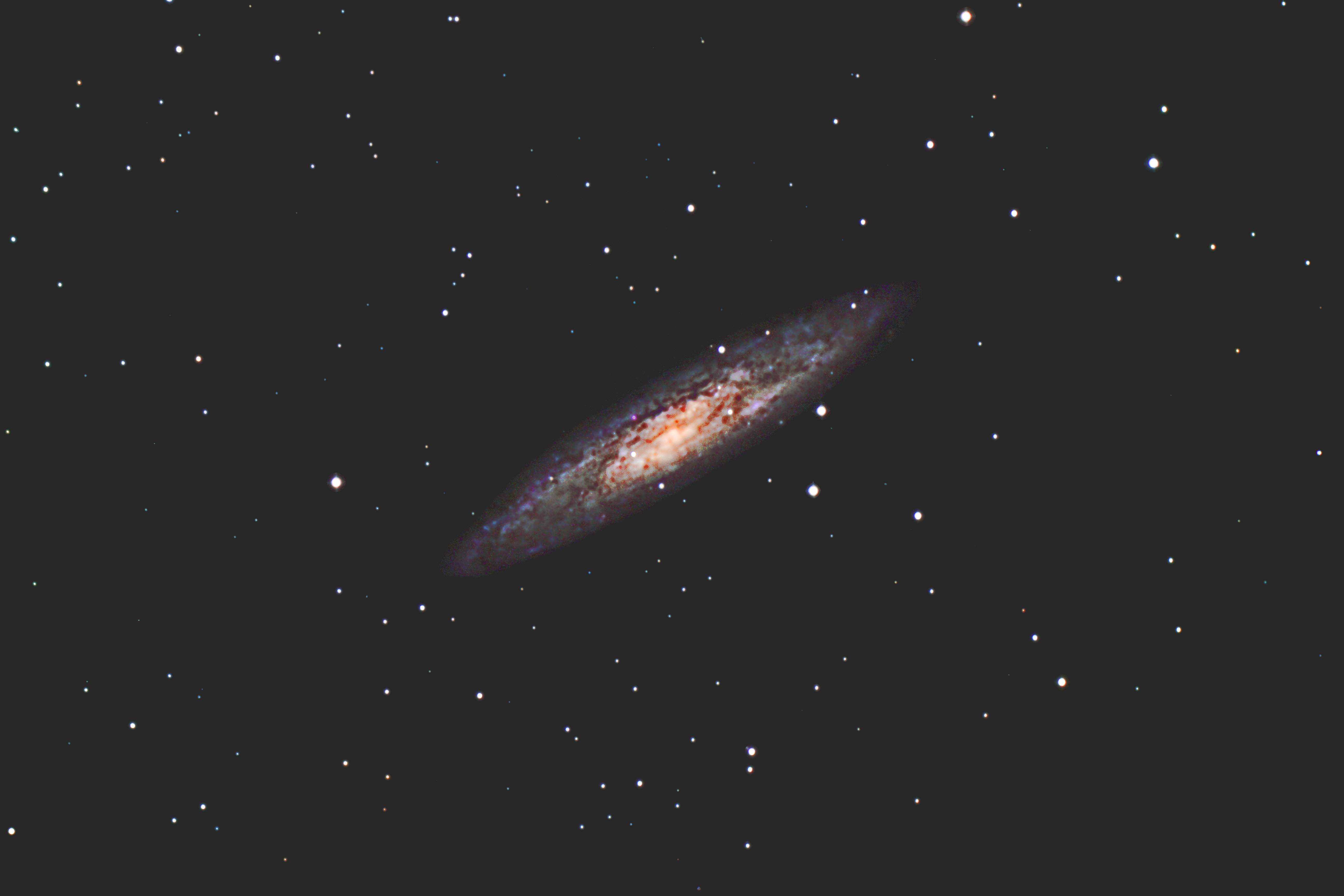 b0100253_23235818.jpg