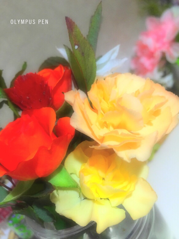 ◆奥さんに、両手一杯の花束を_b0008655_00381095.jpg